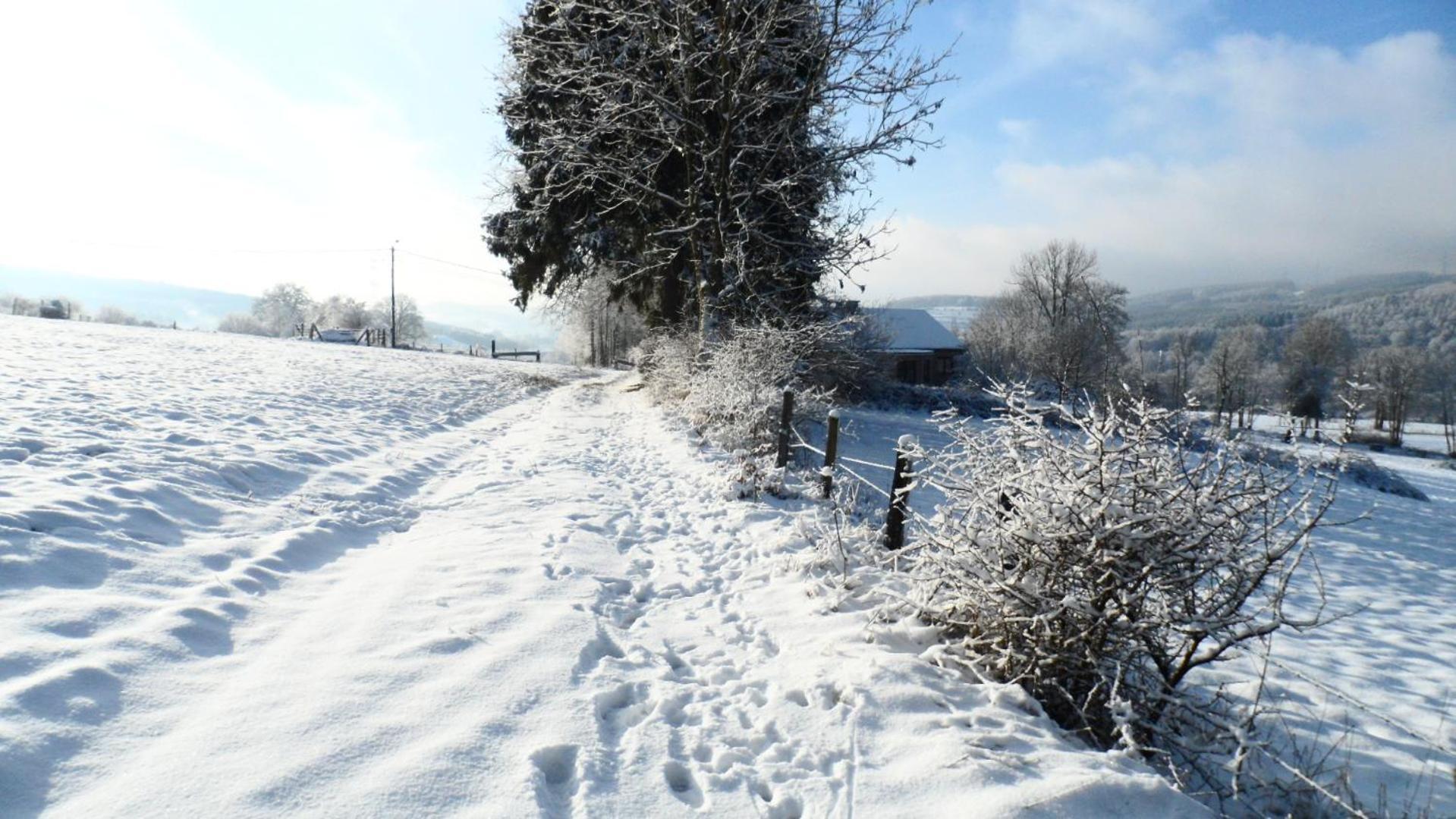 Le Renard'Or Bed & Breakfast Trois-Ponts Bagian luar foto