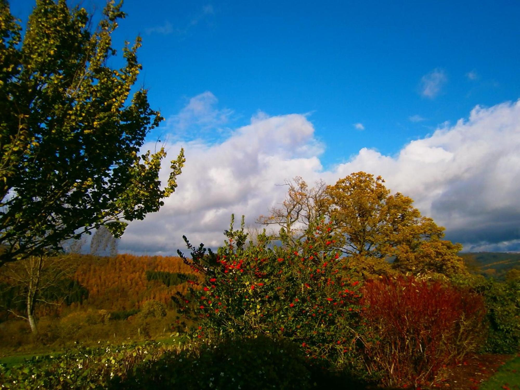 Le Renard'Or Bed & Breakfast Trois-Ponts Bagian luar foto