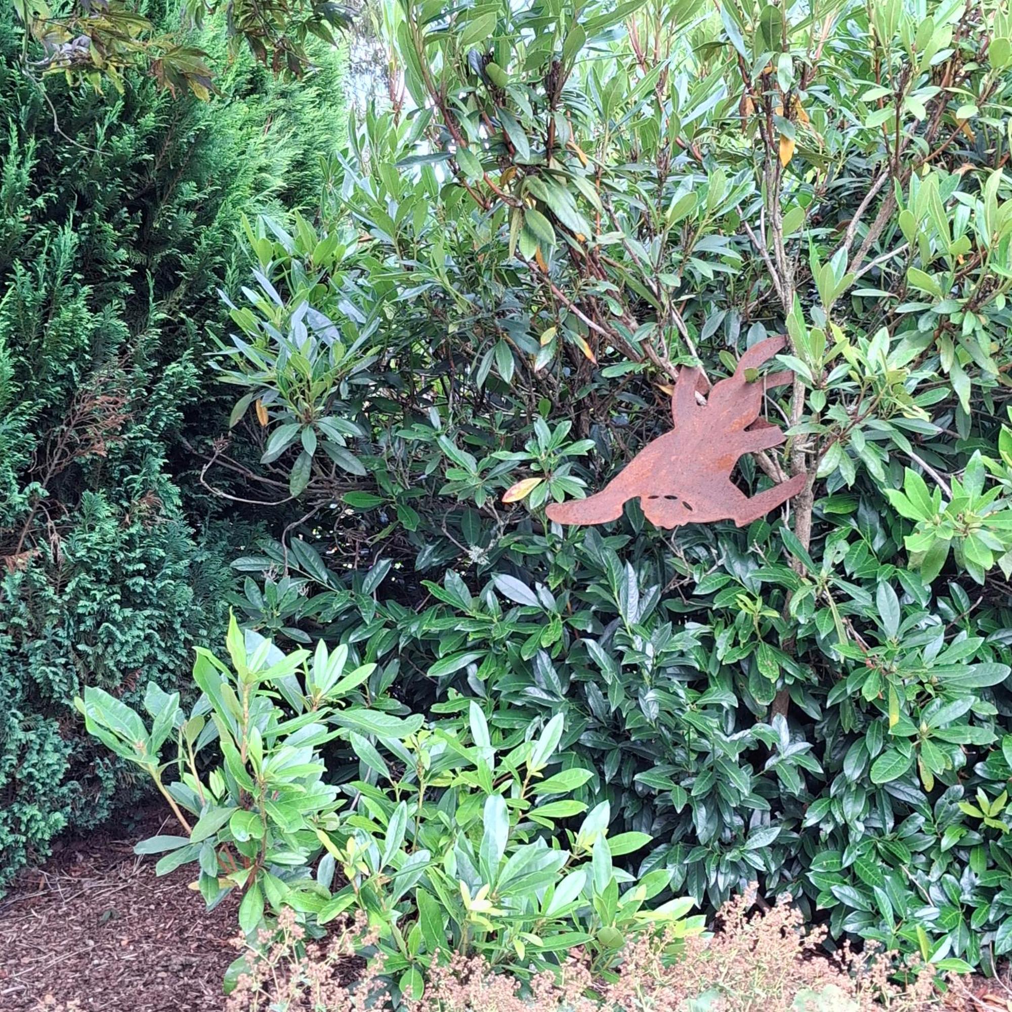 Le Renard'Or Bed & Breakfast Trois-Ponts Bagian luar foto