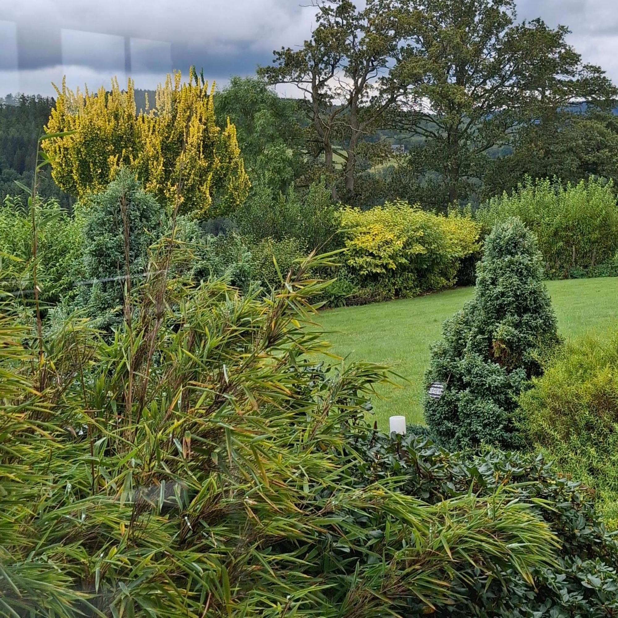 Le Renard'Or Bed & Breakfast Trois-Ponts Bagian luar foto