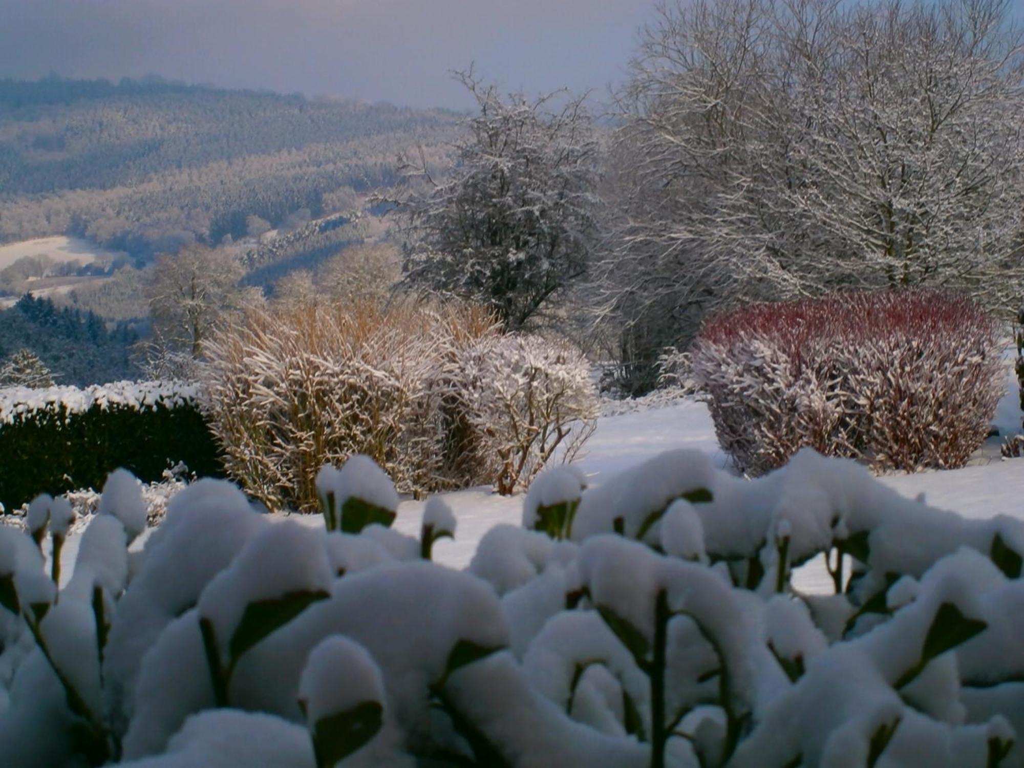 Le Renard'Or Bed & Breakfast Trois-Ponts Bagian luar foto